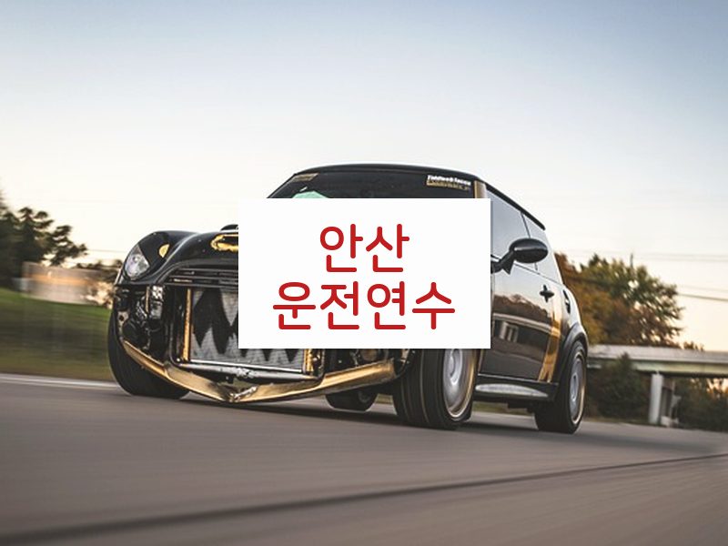 안산운전연수 후기