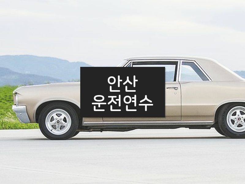 안산운전연수 후기