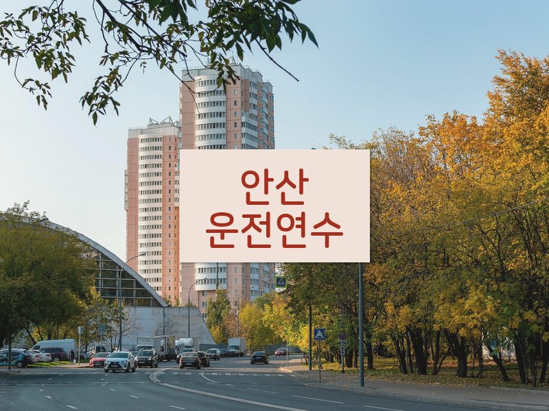 안산운전연수 후기