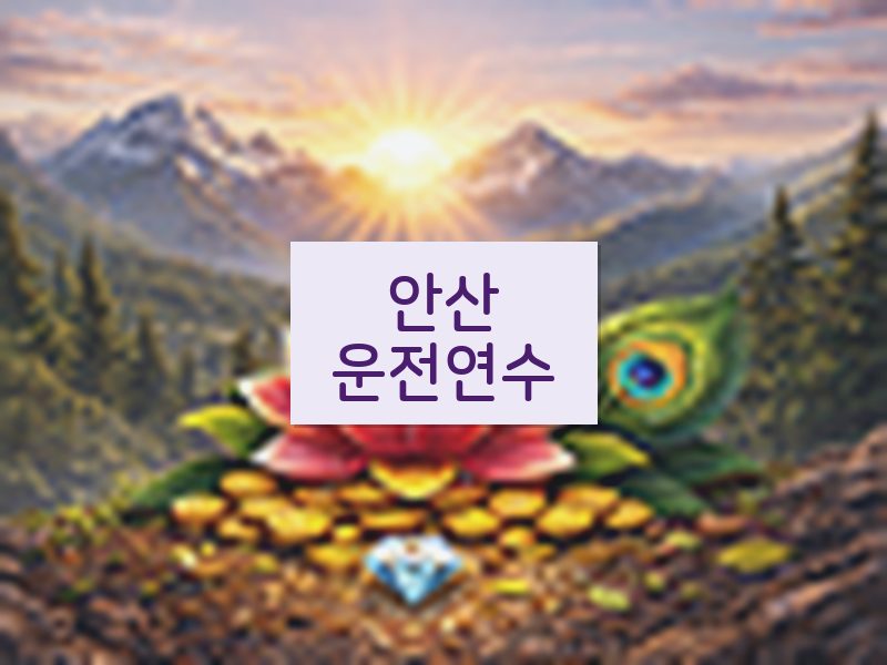 안산운전연수 후기