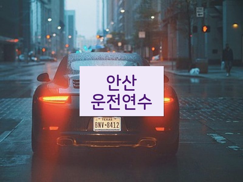 안산운전연수 후기