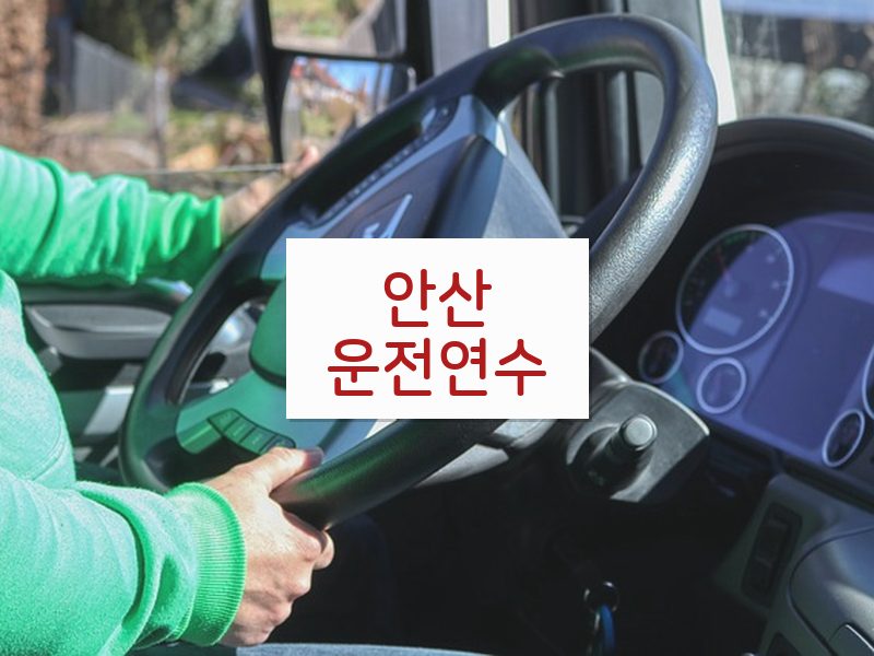 안산운전연수 후기