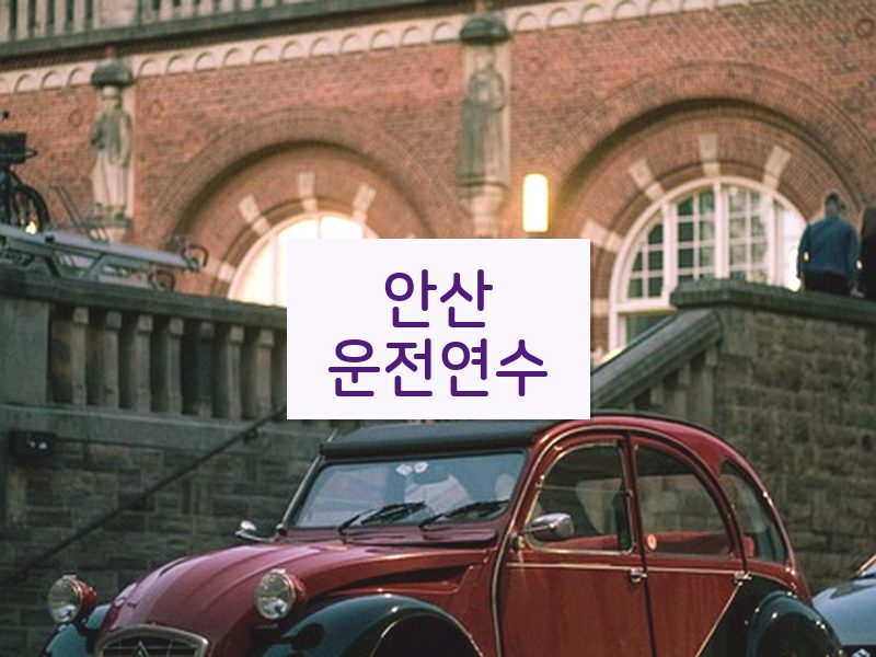 안산운전연수 후기