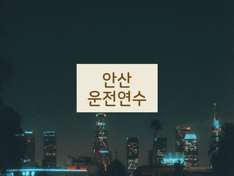 안산운전연수 후기