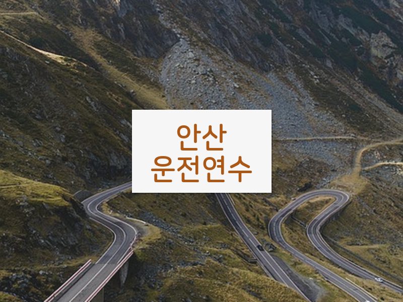 안산운전연수 후기