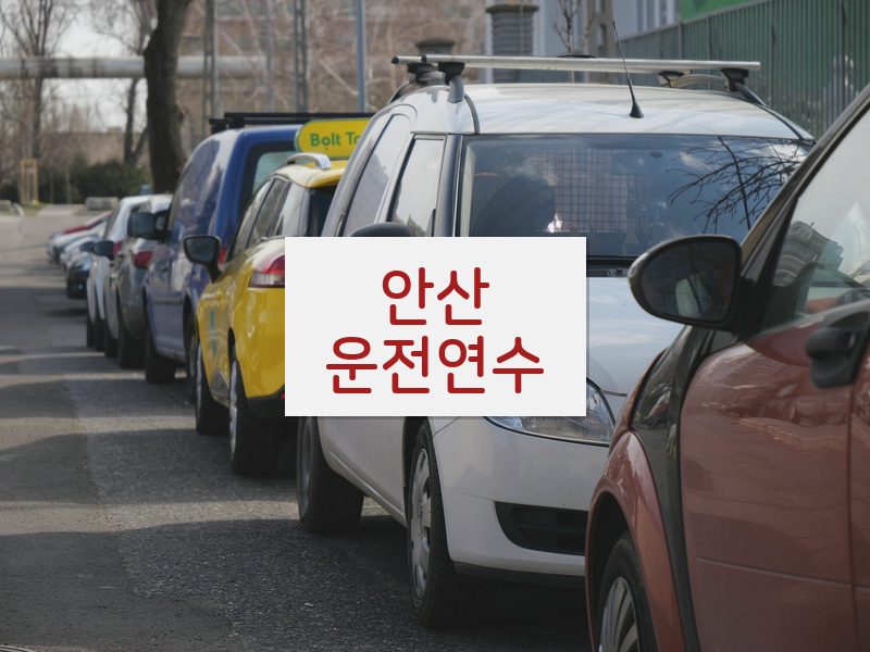 안산운전연수 후기