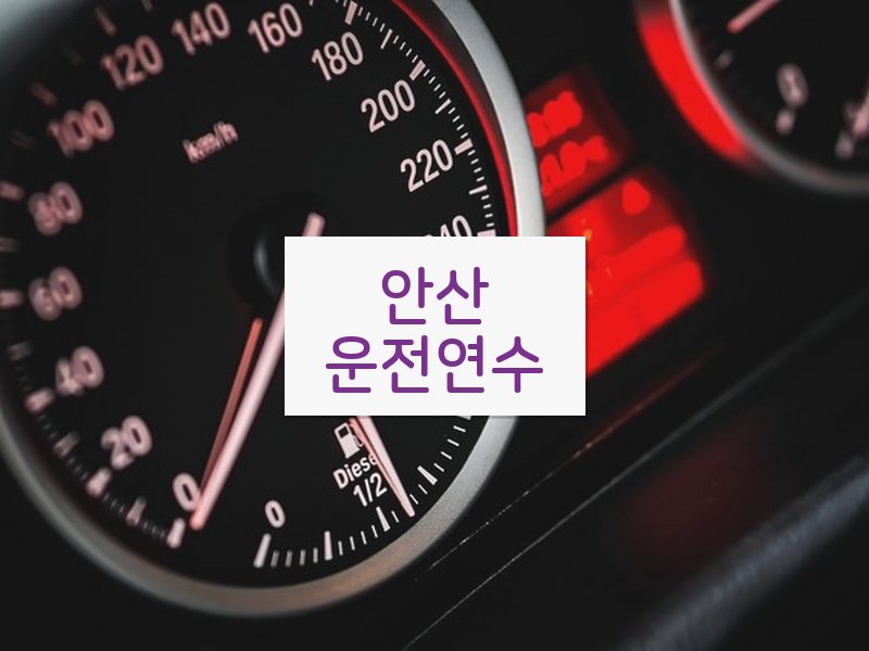안산운전연수 후기