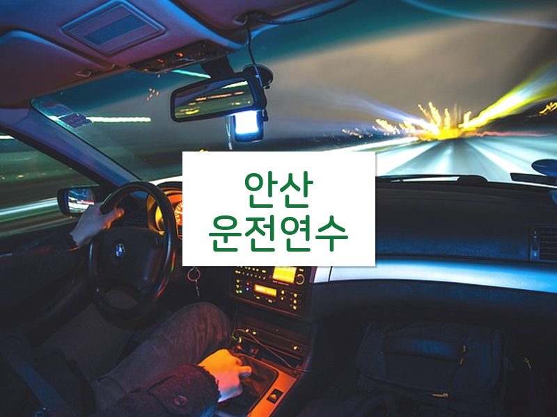 안산운전연수 후기