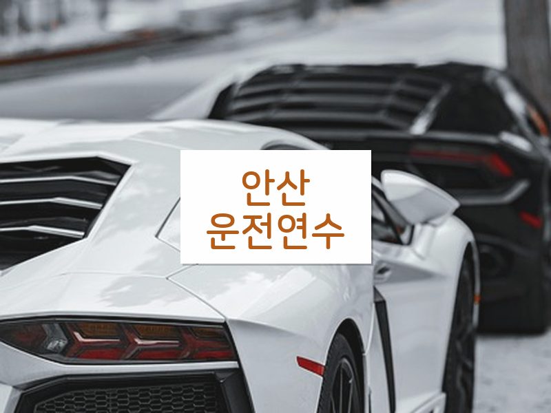 안산운전연수 후기