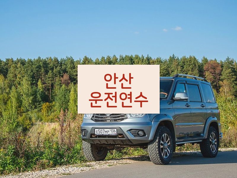 안산운전연수 후기