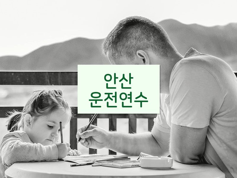 안산운전연수 후기
