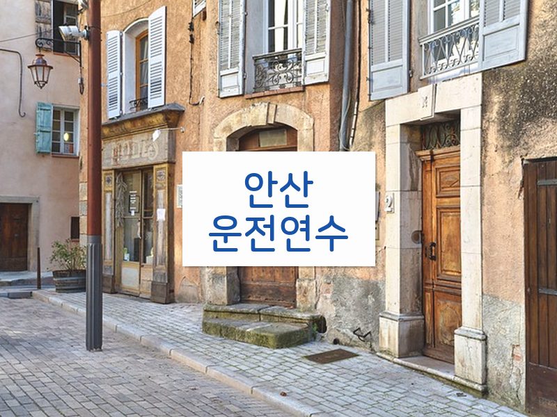 안산운전연수 후기