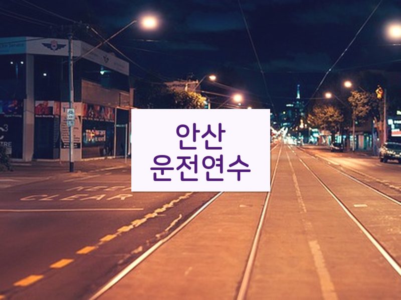 안산운전연수 후기