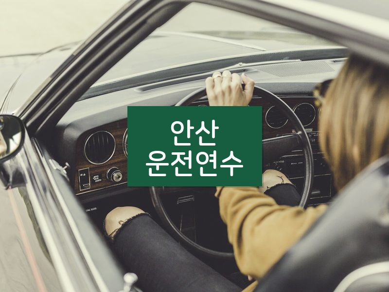 안산운전연수 후기