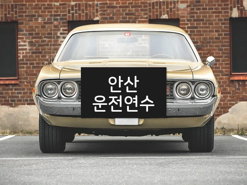 안산운전연수 후기