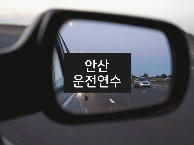 안산운전연수 후기