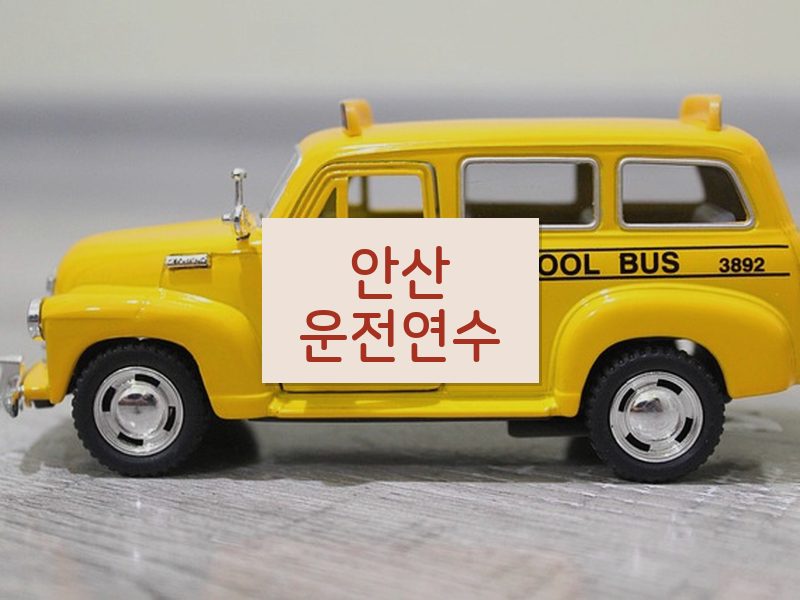 안산운전연수 후기