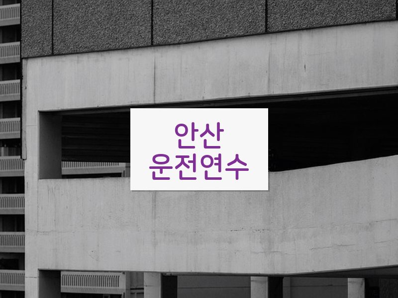 안산운전연수 후기