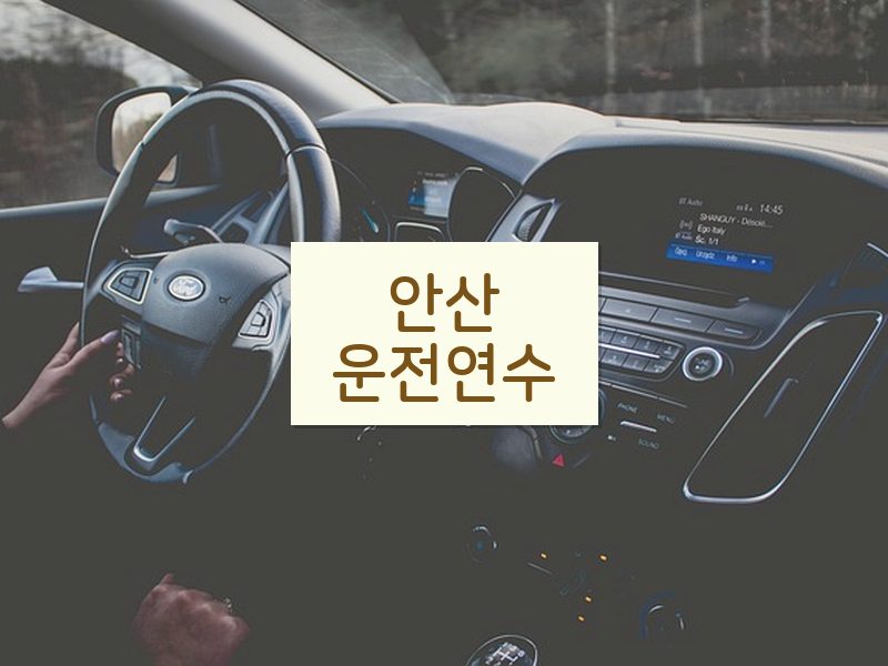 안산운전연수 후기