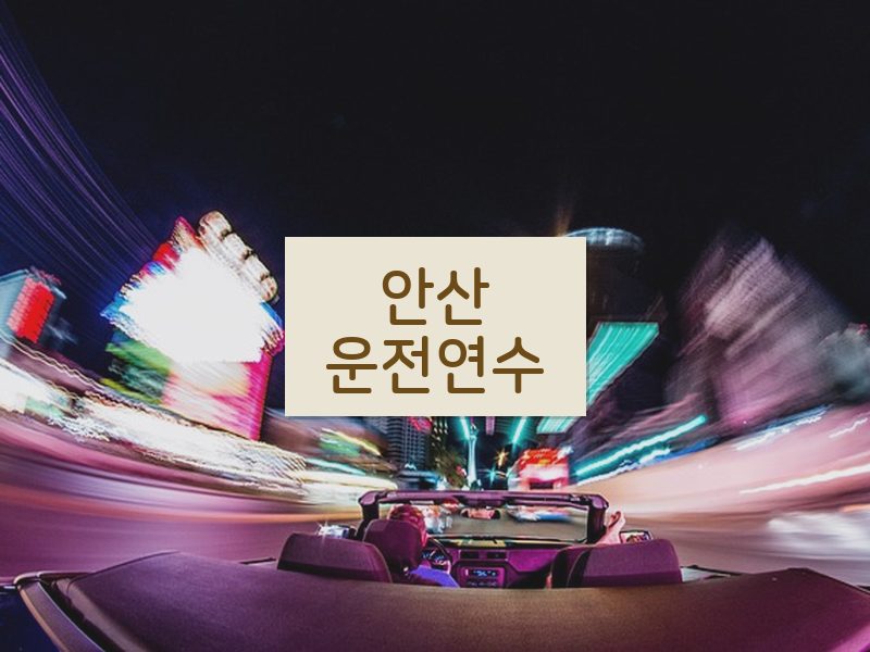 안산운전연수 후기