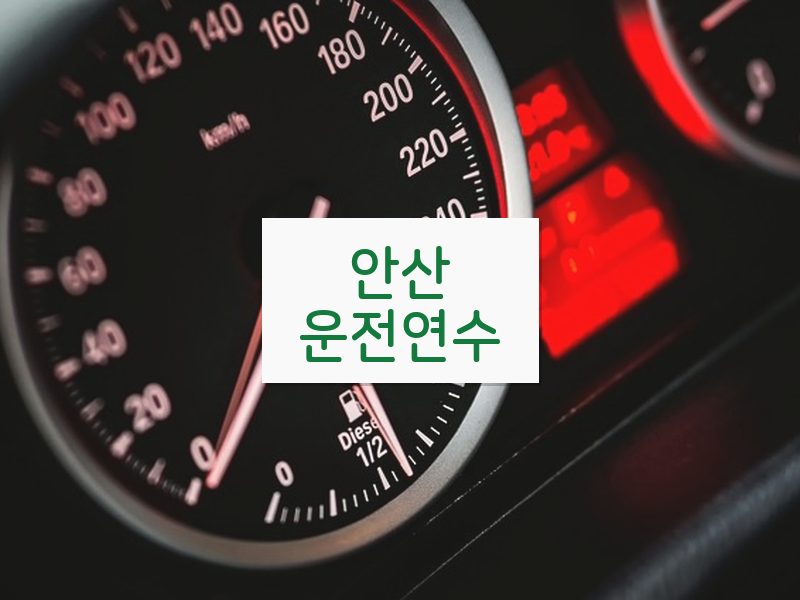 안산운전연수 후기