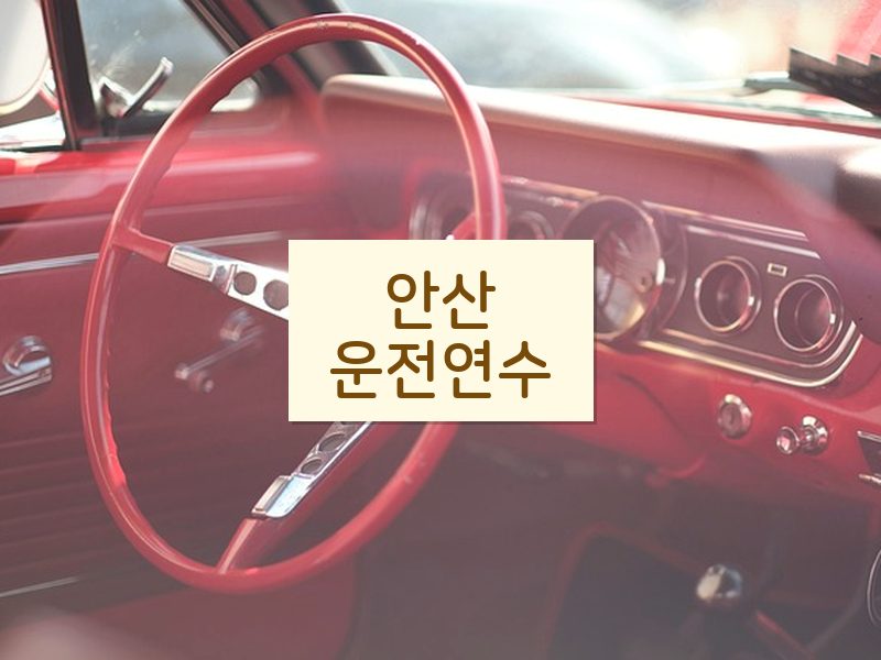 안산운전연수 후기