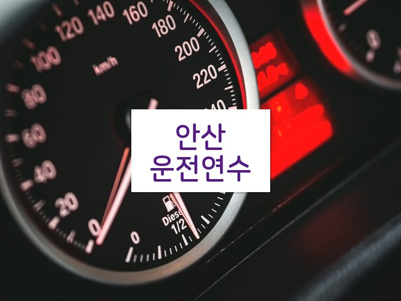 안산운전연수 후기