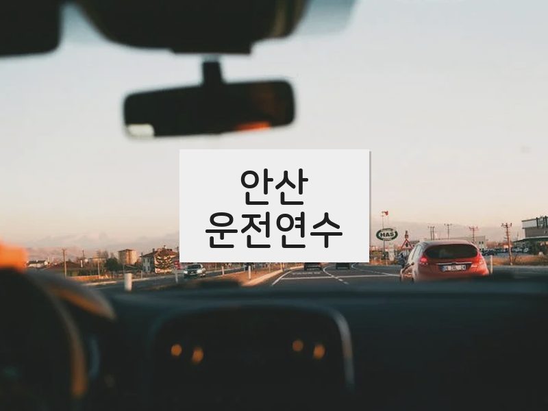 안산운전연수 후기