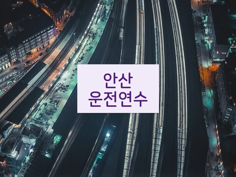 안산운전연수 후기