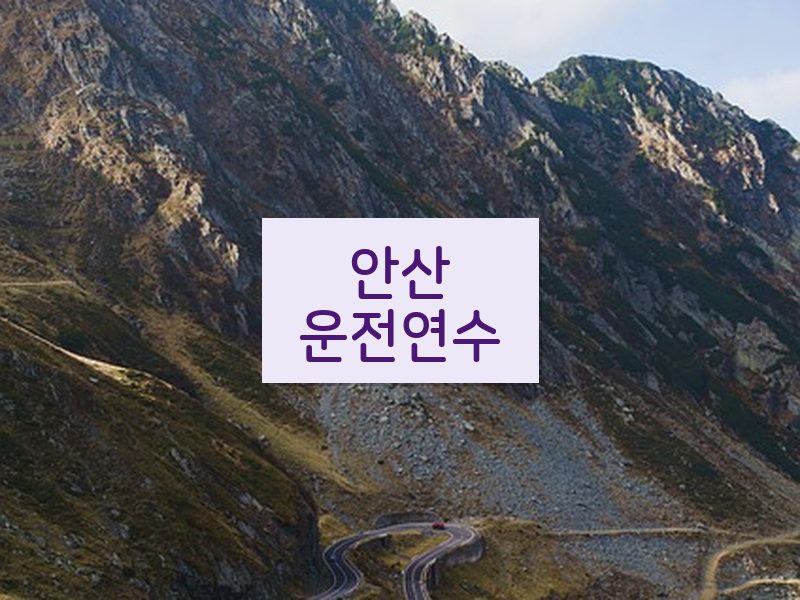 안산운전연수 후기