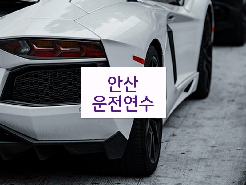 안산운전연수 후기