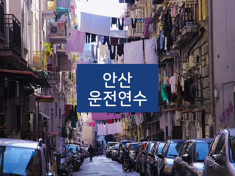 안산운전연수 후기