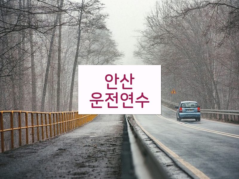 안산운전연수 후기