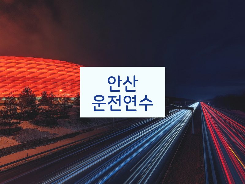 안산운전연수 후기