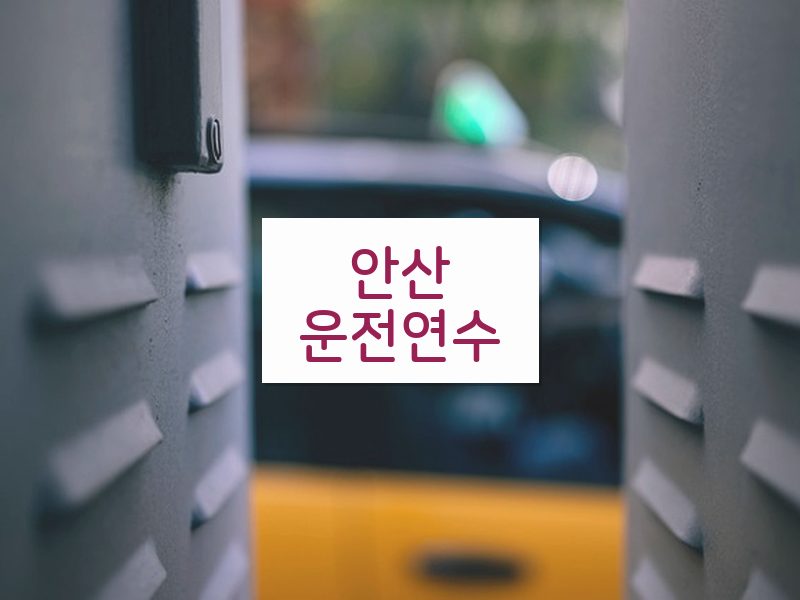안산운전연수 후기