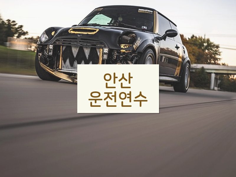 안산운전연수 후기