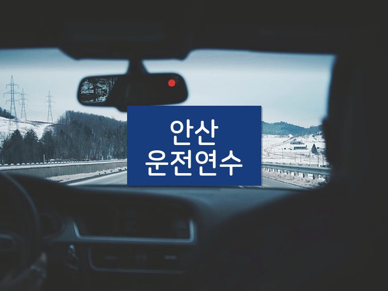 안산운전연수 후기