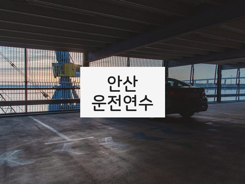 안산운전연수 후기