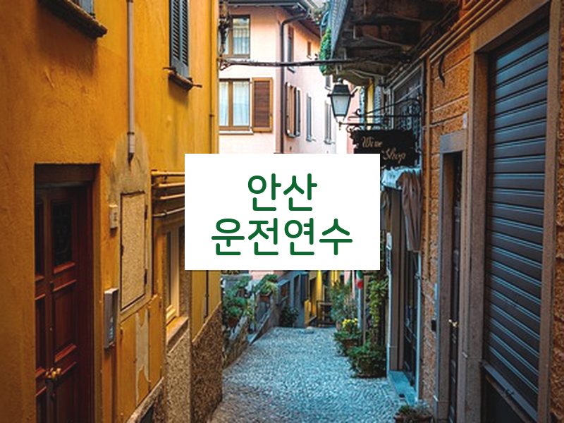 안산운전연수 후기