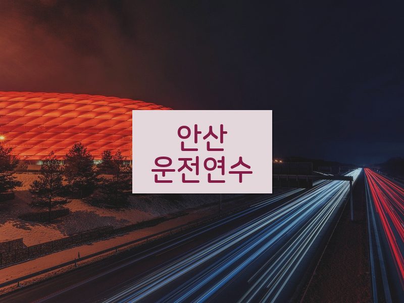 안산운전연수 후기