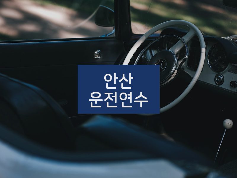 안산운전연수 후기