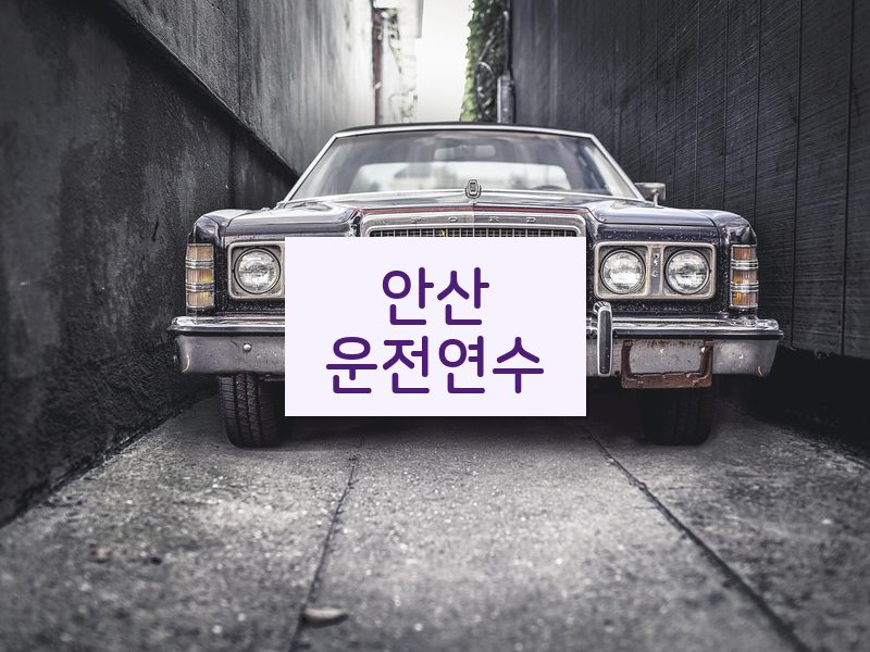 안산운전연수 후기