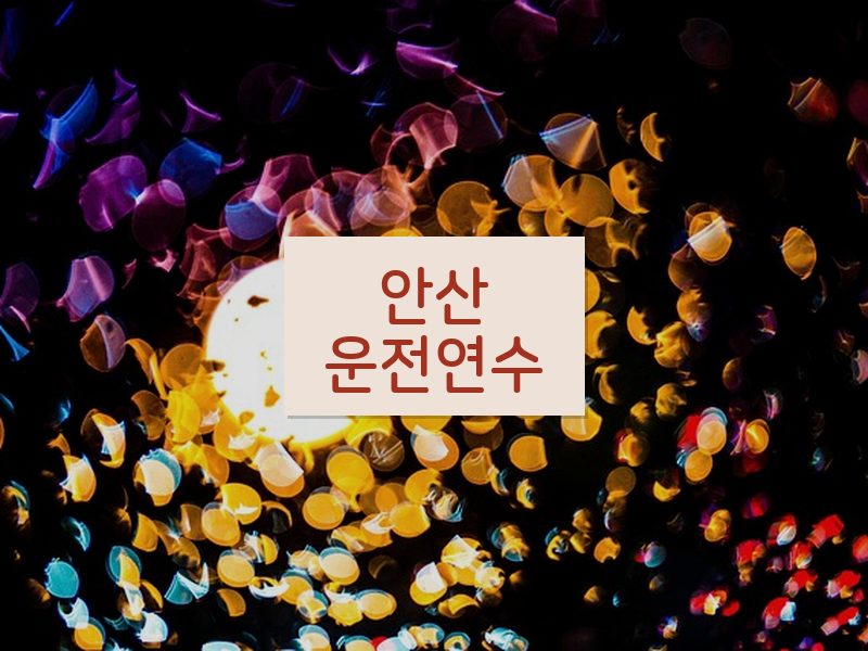 안산운전연수 후기