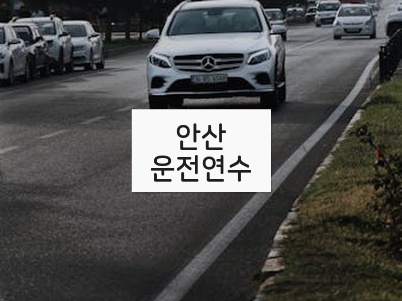 안산운전연수 후기