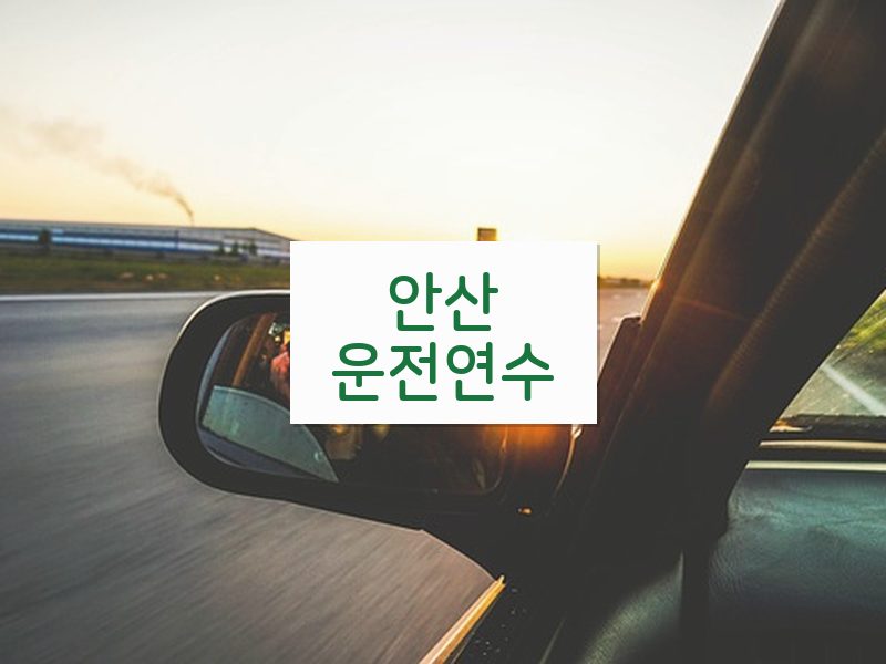 안산운전연수 후기