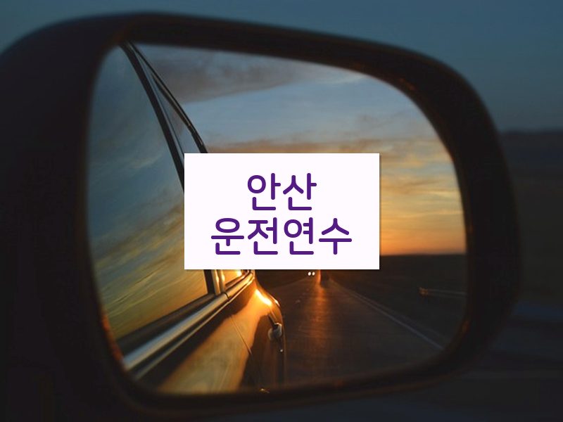 안산운전연수 후기