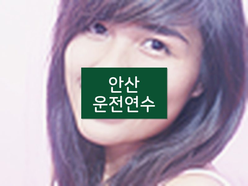 안산운전연수 후기