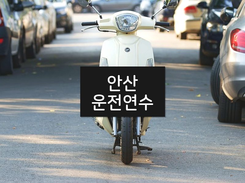 안산운전연수 후기