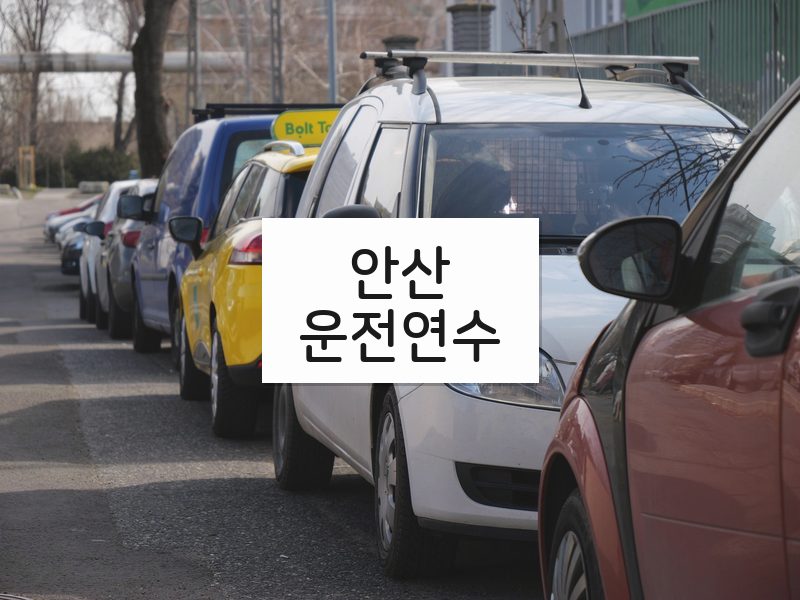안산운전연수 후기