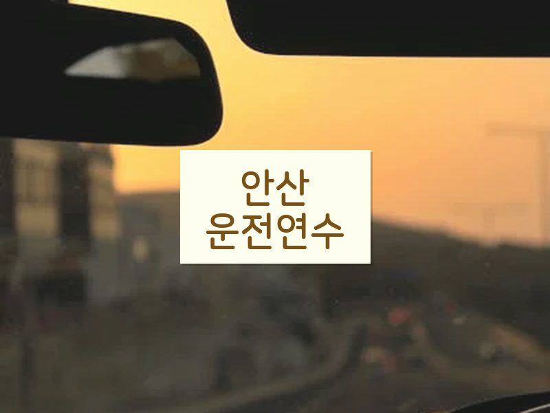 안산운전연수 후기